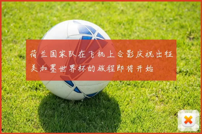 荷兰国家队在飞机上合影庆祝出征美加墨世界杯的旅程即将开始